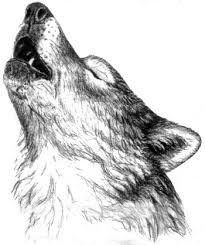images (3).jpeg