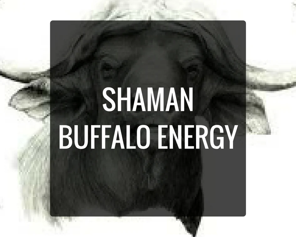 I AM A SHAMAN - AND THE BUFFALO IS MY GUIDE