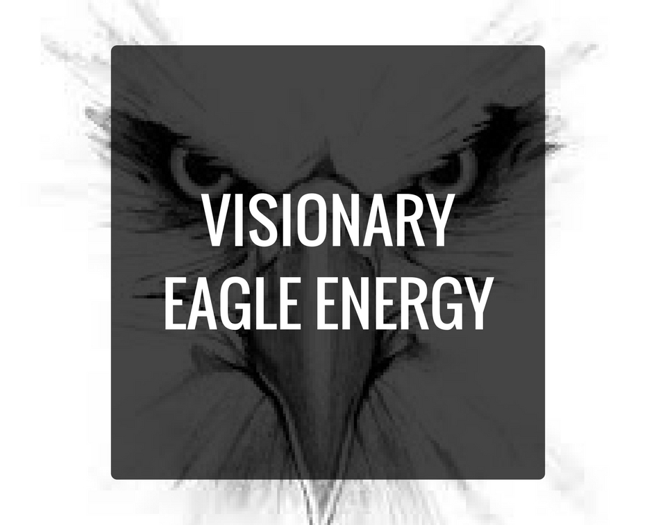 I AM A VISIONARY - AND THE EAGLE IS MY GUIDE