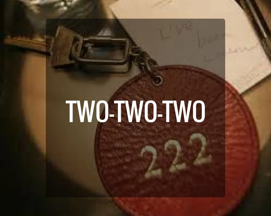 222 Numberology