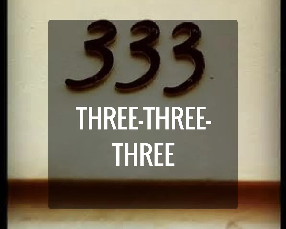 333 Numberology