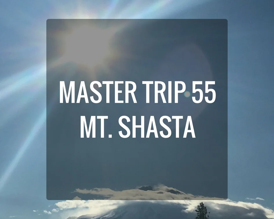 Master Trip 55