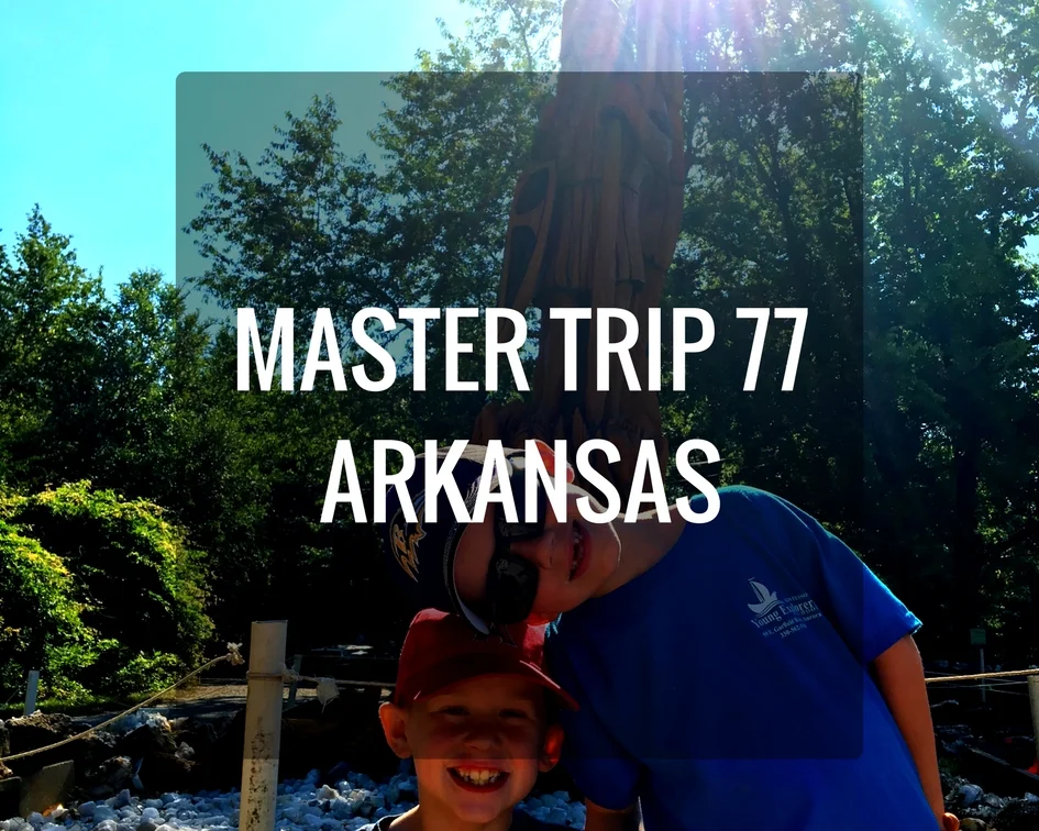 MASTER TRIP 77.jpg