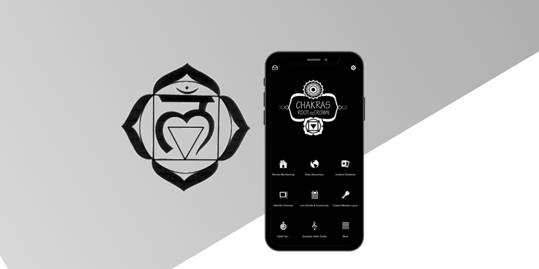 chakra member (5).png