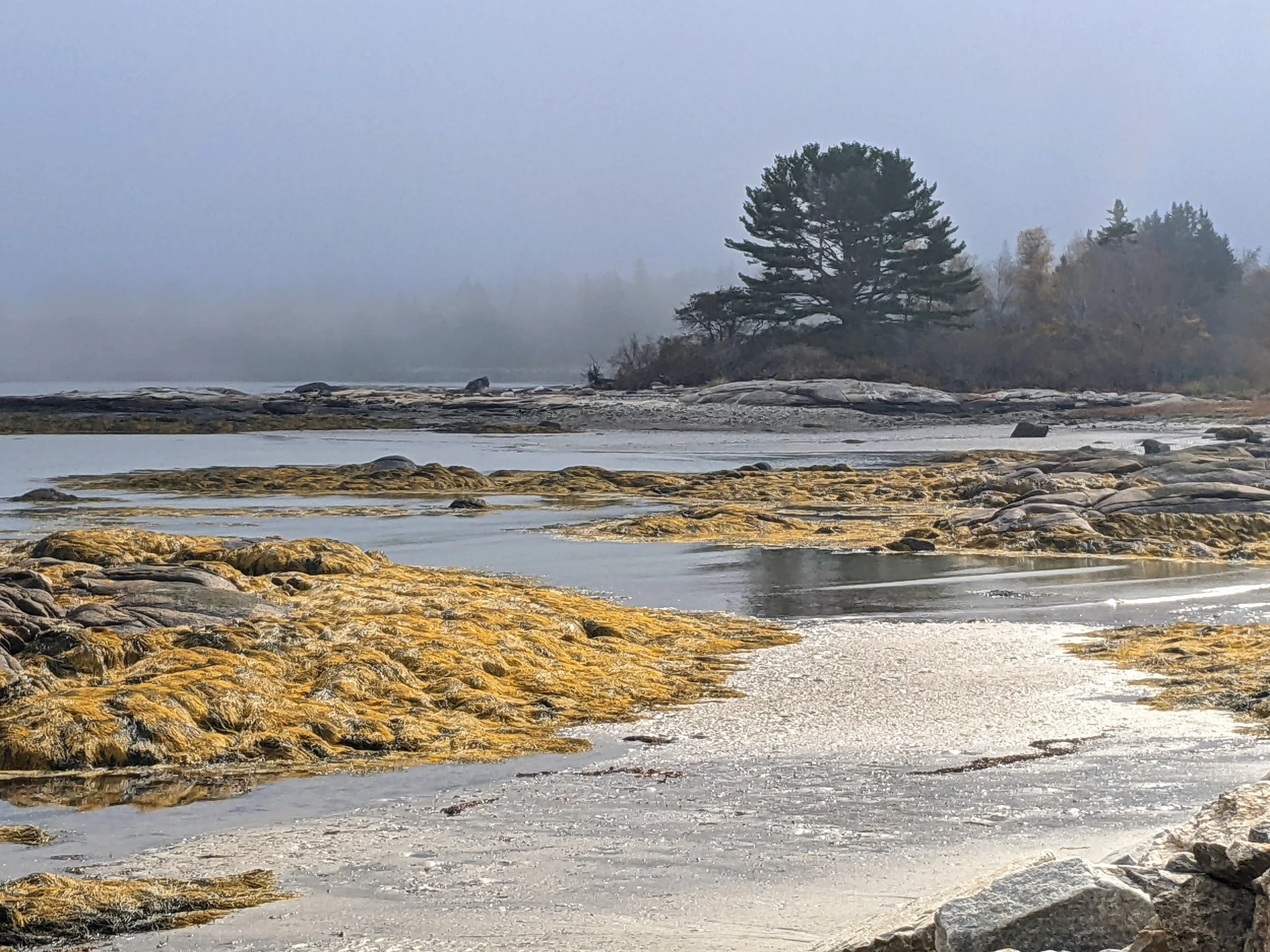Spruce Head Maine - A Painting Retreat!