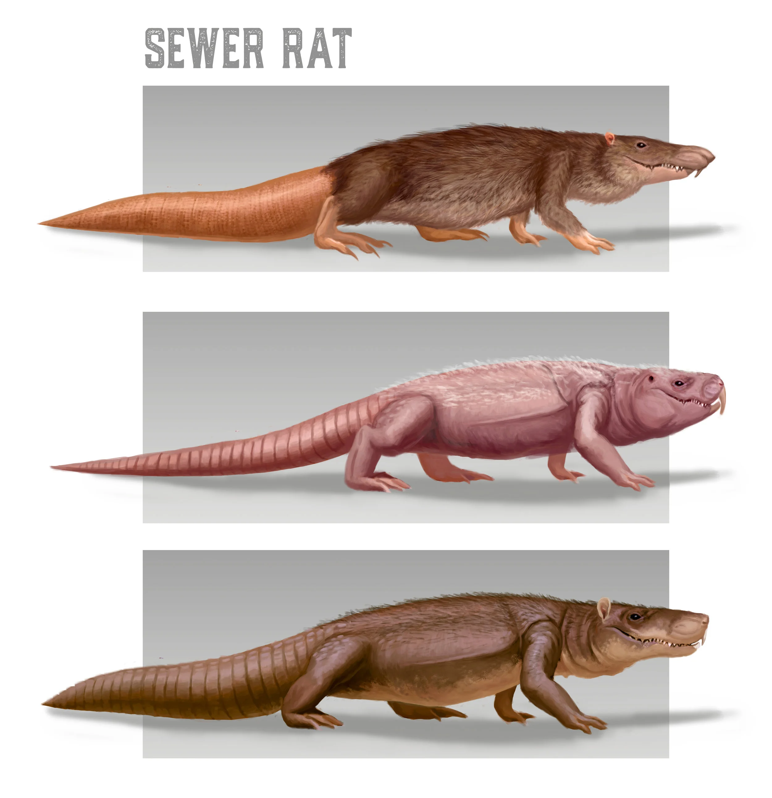 rat.jpg