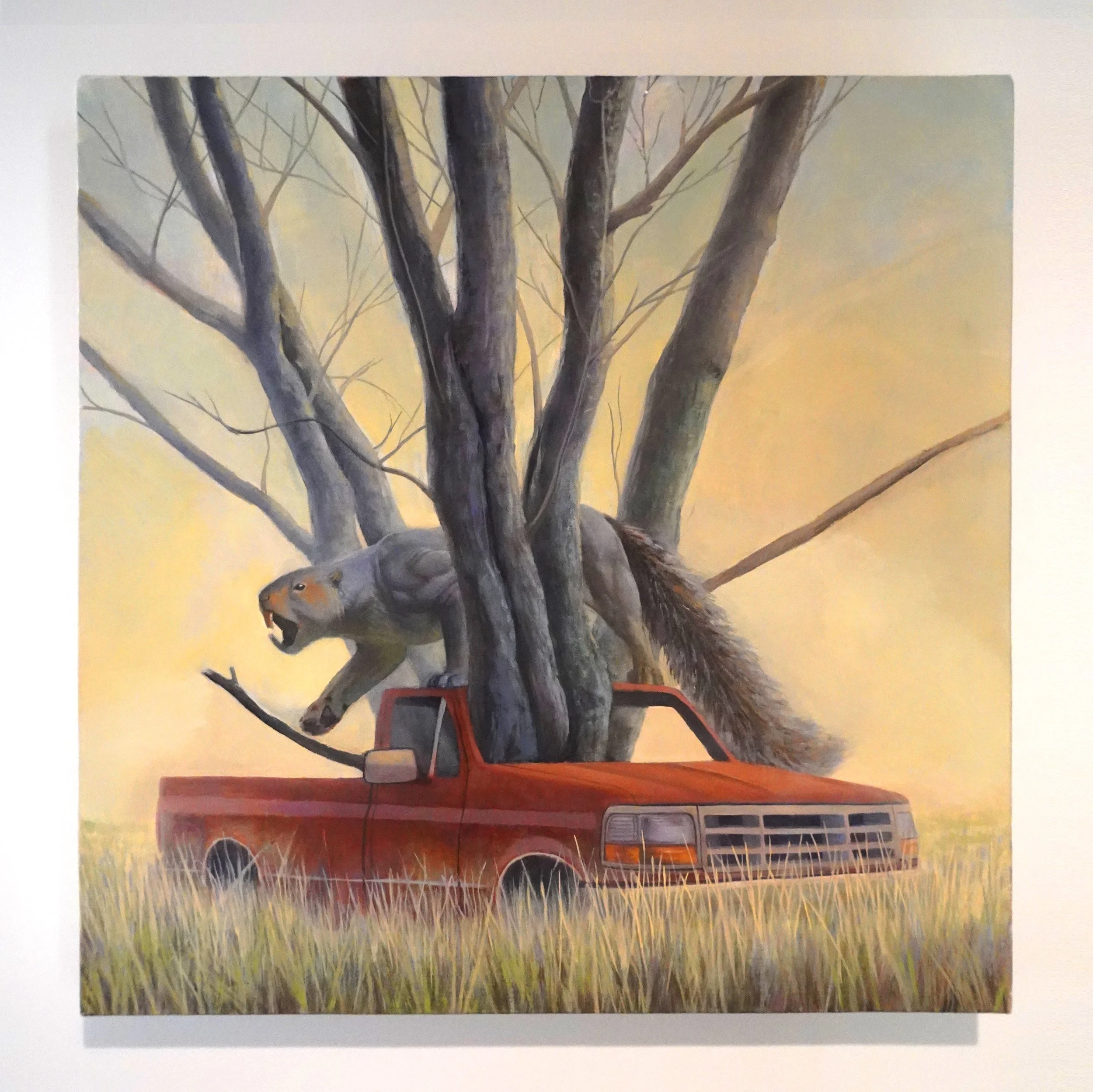 Squirrelontruck .jpg