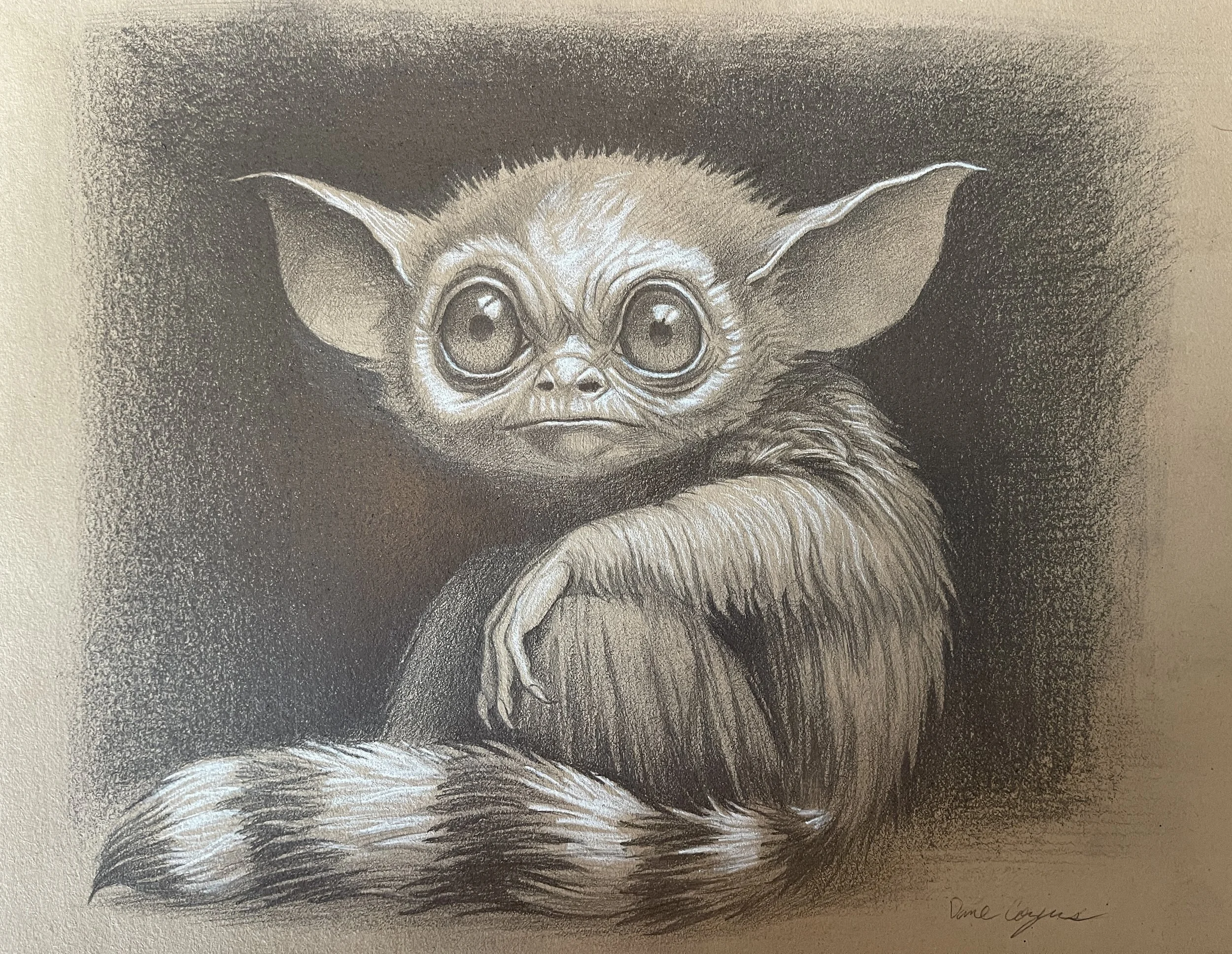RaccoonPrimateCritter_by_DaneCozens-2.jpg