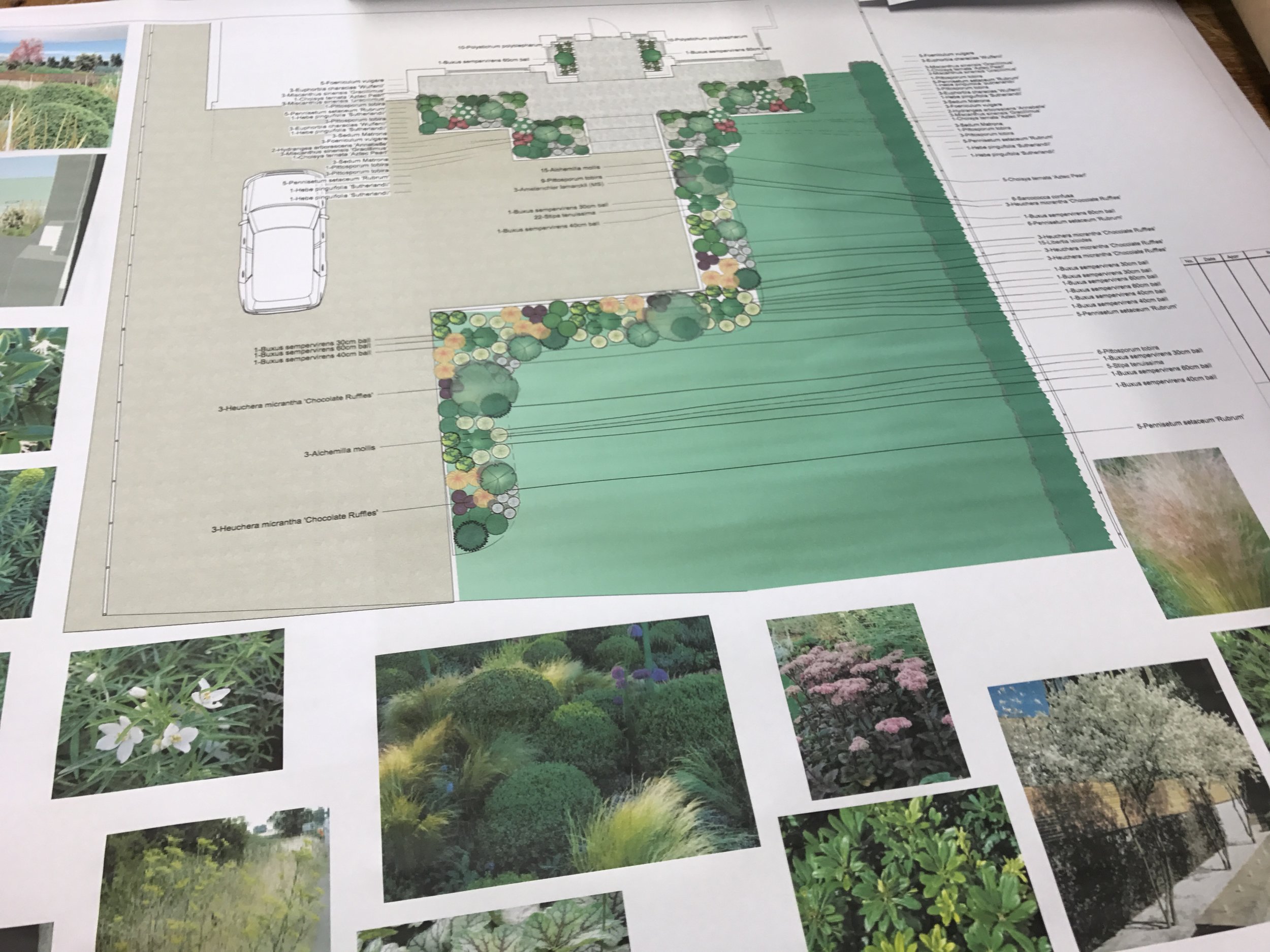 Planting plan and mood board on CAD