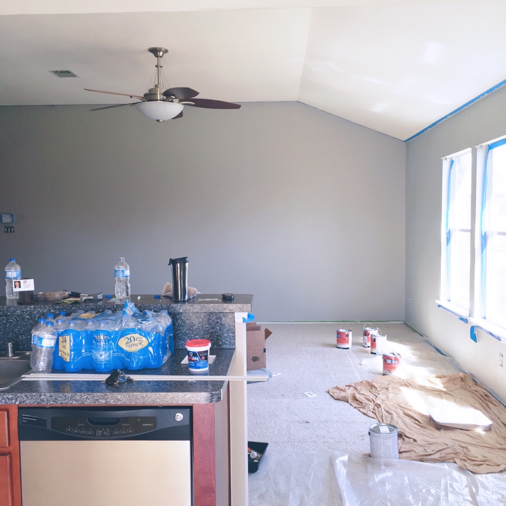 Living room color is Sherwin Williams Mindful Gray