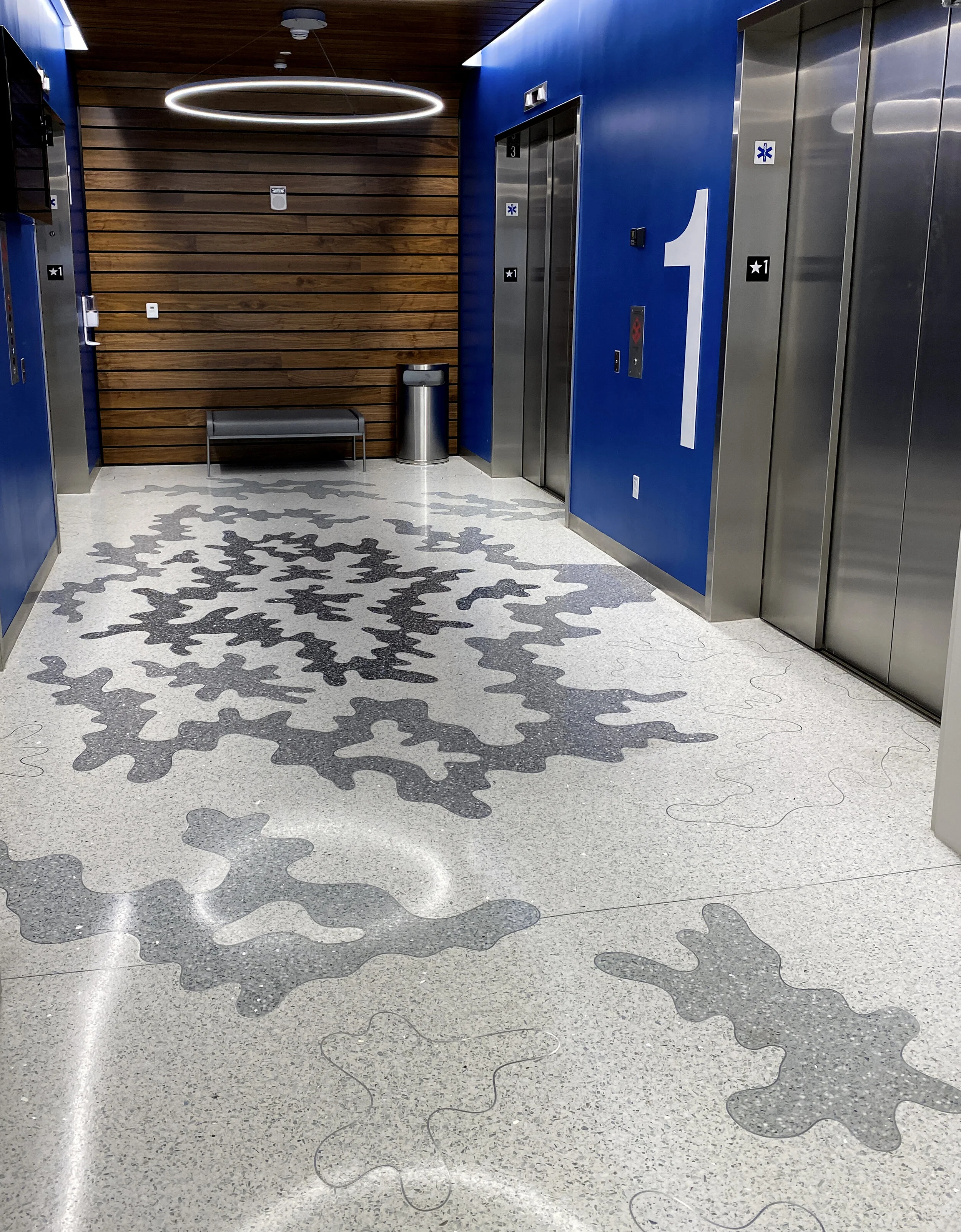   Cosmic Growth  (installation in Miami), 2020, four-color integrated Terrazzo flooring, approx. 15,000 sq ft   