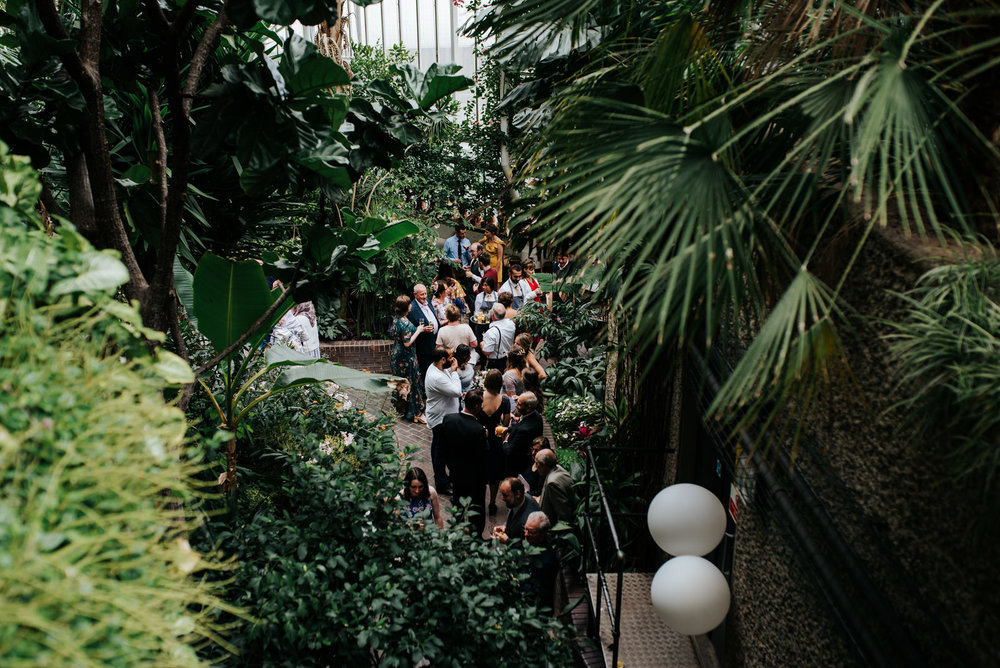 Wide photograph of guests mingling amongst the greenery at barbi