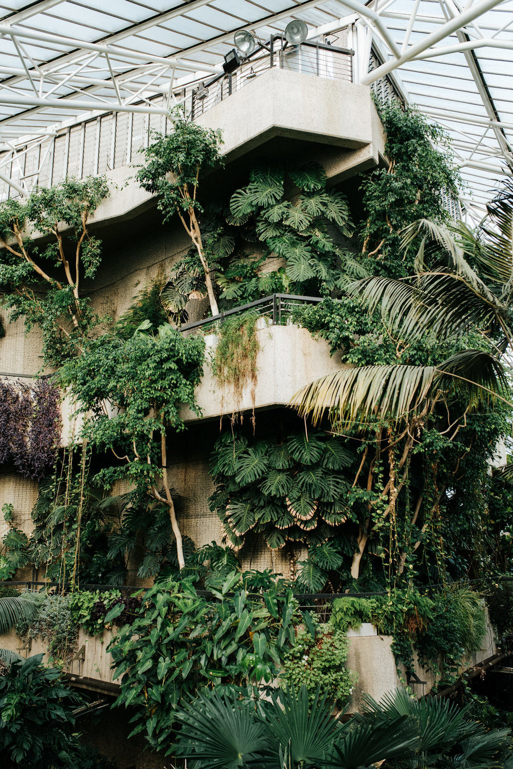  Wide photograph of stunning, tropical plants on display at barbican centre wedding venue 