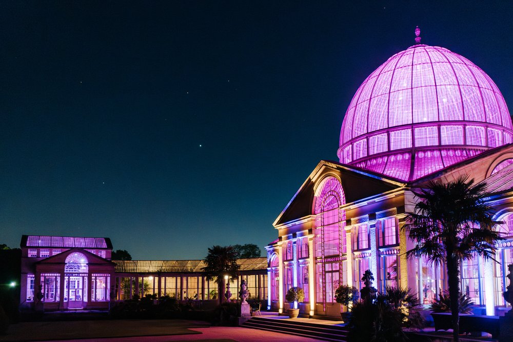 Atmospheric photograph of Syon Park at night, illuminated with pink lights