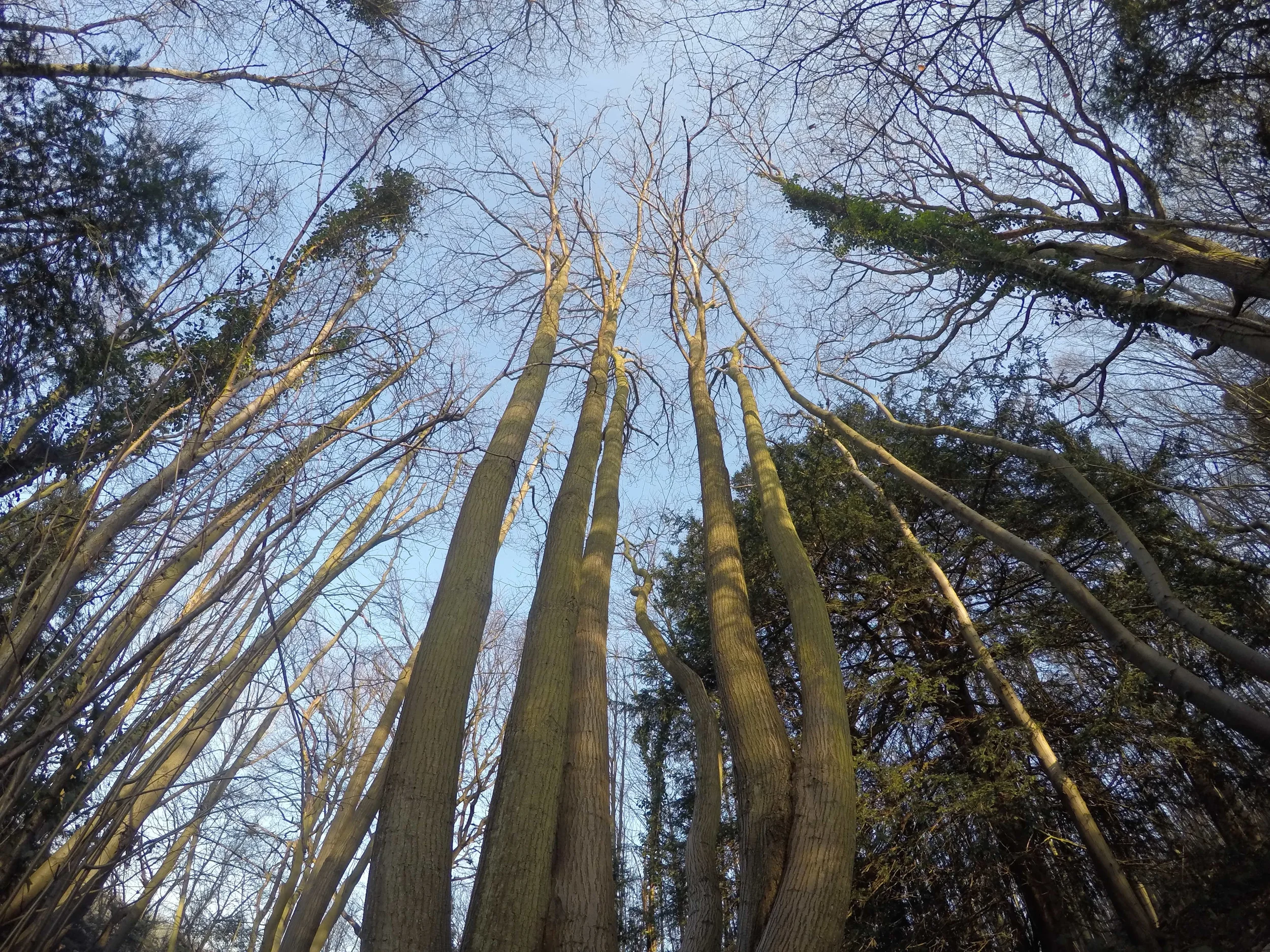 In the woods.