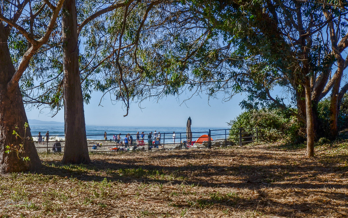 moran-lake_beach_web-9735.jpg