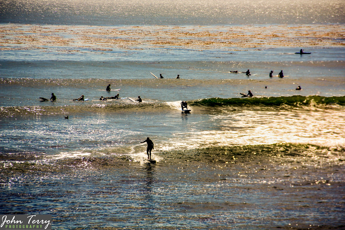 pleasure-point_web-3908.jpg