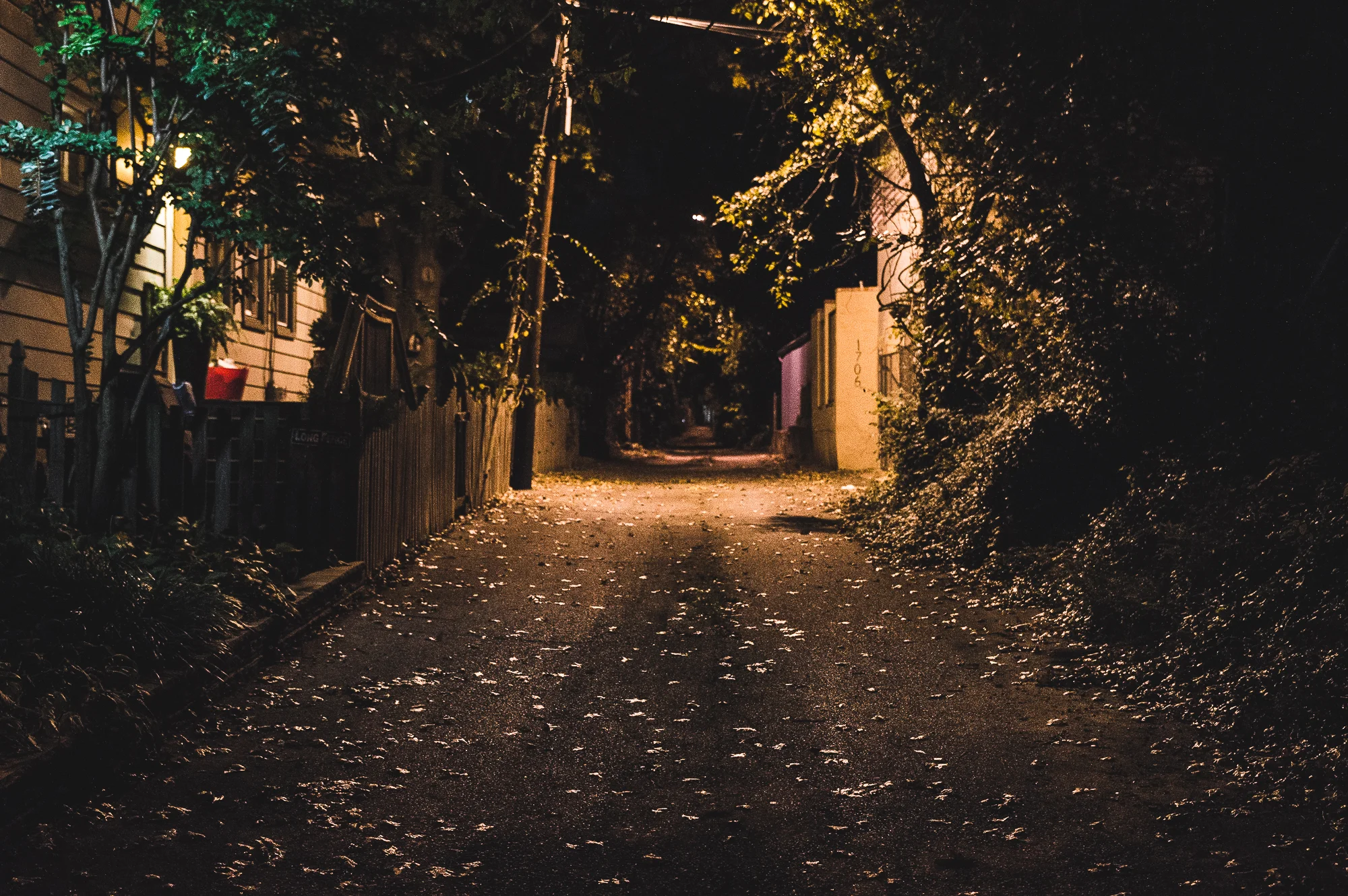 DSC_0030.jpg