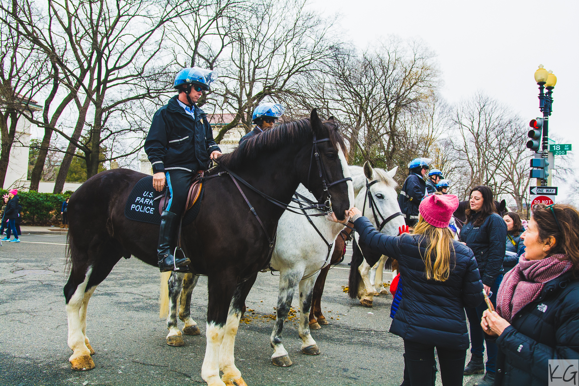 Police horses hanging out 