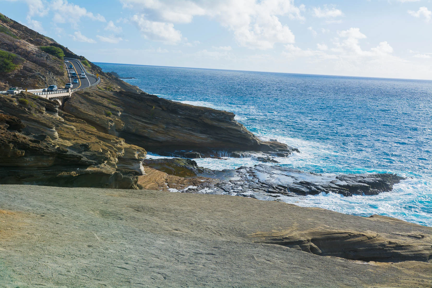 DSC_6127.jpg