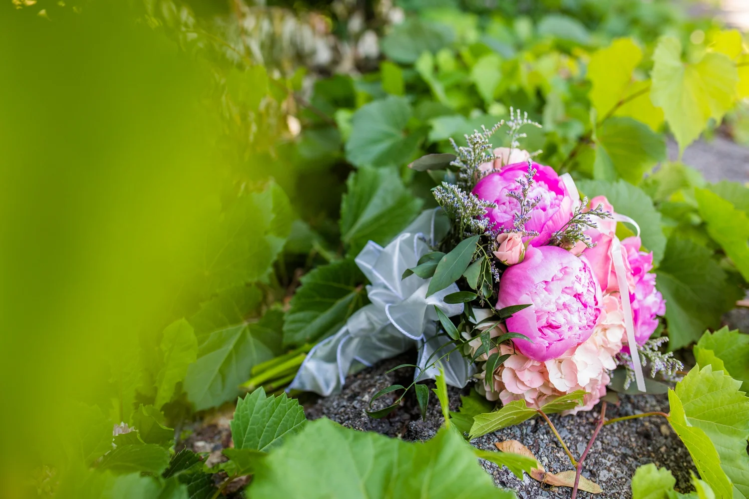 mayernik center wedding photographer