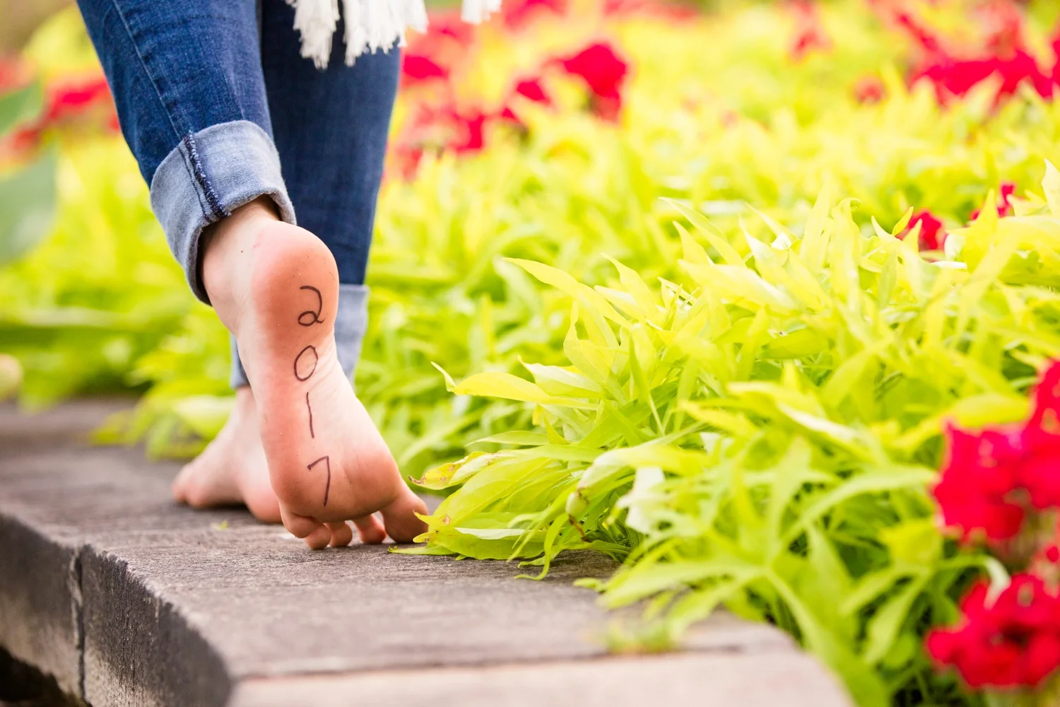 cranberry senior photographer, pittsburgh senior photographer, mellon park senior photos, phipps senior photos