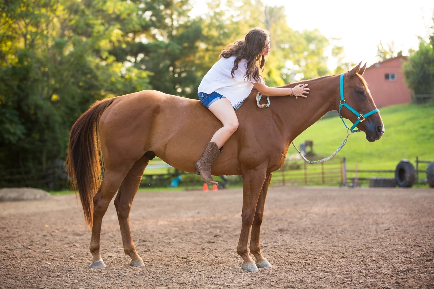 cranberry senior photographer, cranberry township senior photographer, pittsburgh senior photographer, equestrian senior photographer, zelienople senior photographer