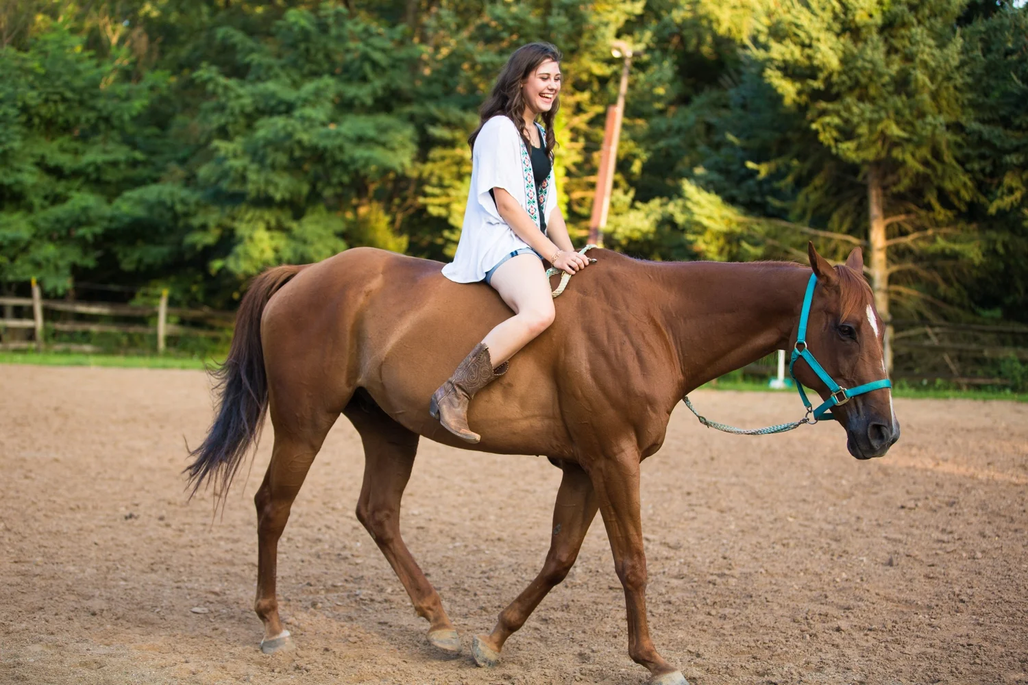 cranberry senior photographer, cranberry township senior photographer, pittsburgh senior photographer, equestrian senior photographer, zelienople senior photographer