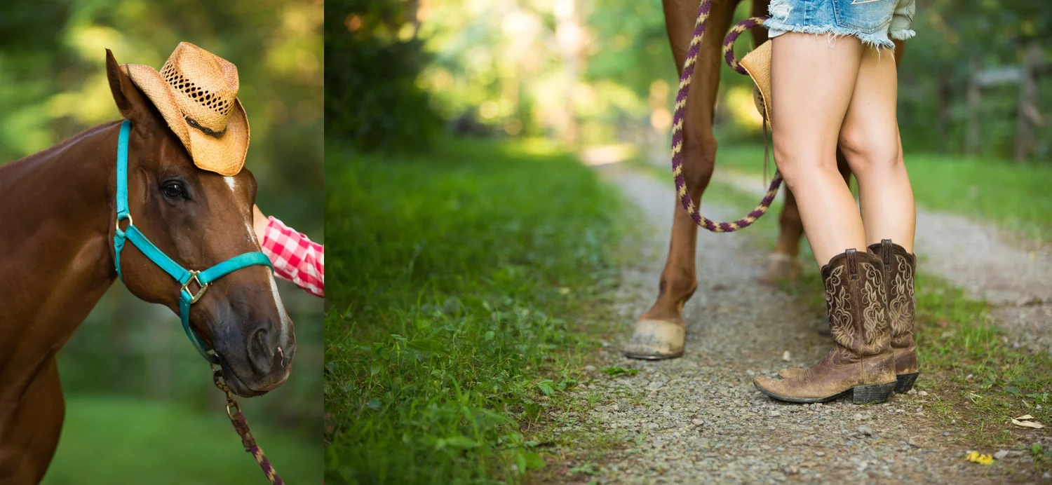 cranberry senior photographer, cranberry township senior photographer, pittsburgh senior photographer, equestrian senior photographer, zelienople senior photographer