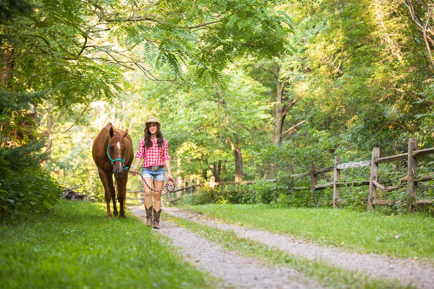 cranberry senior photographer, cranberry township senior photographer, pittsburgh senior photographer, equestrian senior photographer, zelienople senior photographer
