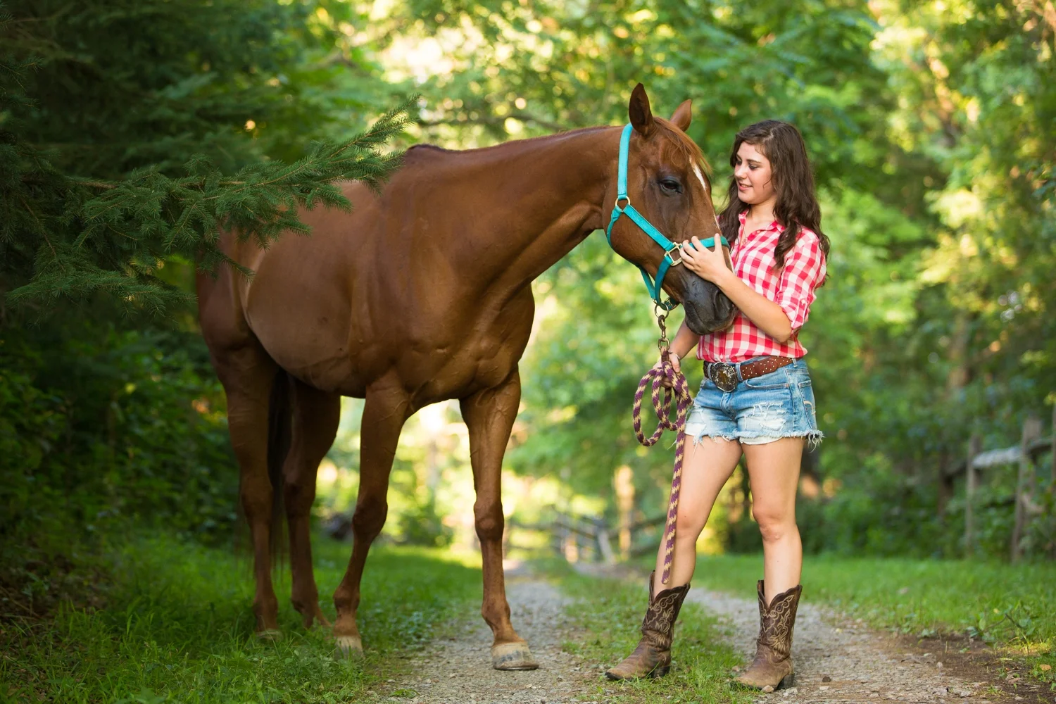 Alyssa H: Babcock Stables Senior Photographer