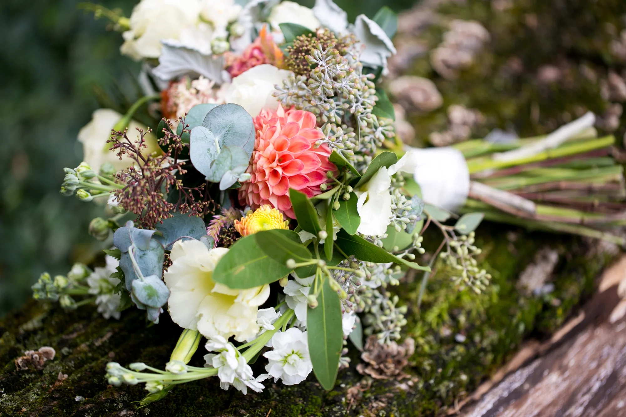 roselea farm wedding, roselea farm wedding photos, roselea farm wedding pics, roselea farm wedding pictures