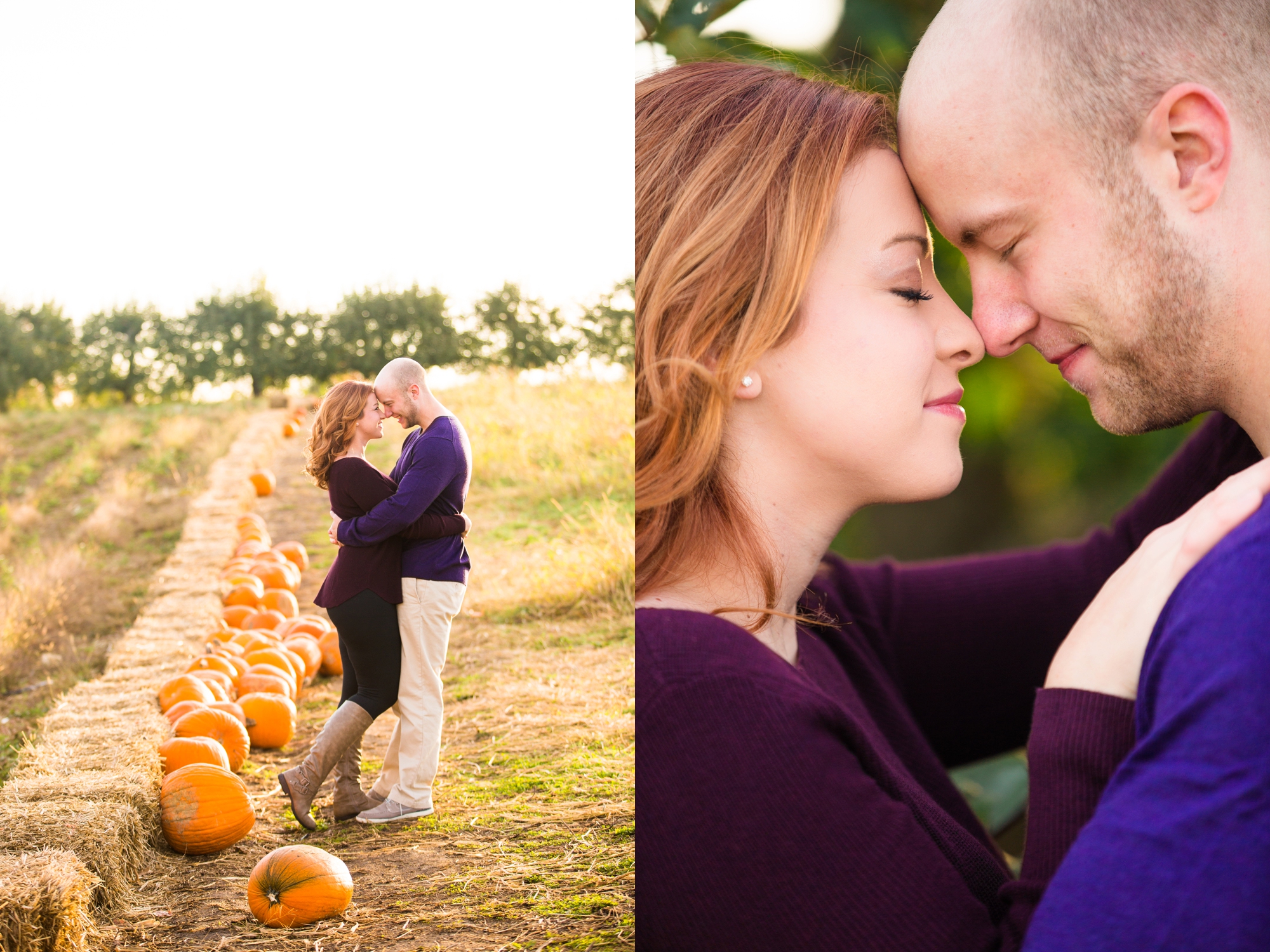 soergel orchards, cranberry township wedding photographer, cranberry township wedding venues, soergel orchards photos, pittsburgh wedding photographer, pittsburgh engagement photographer
