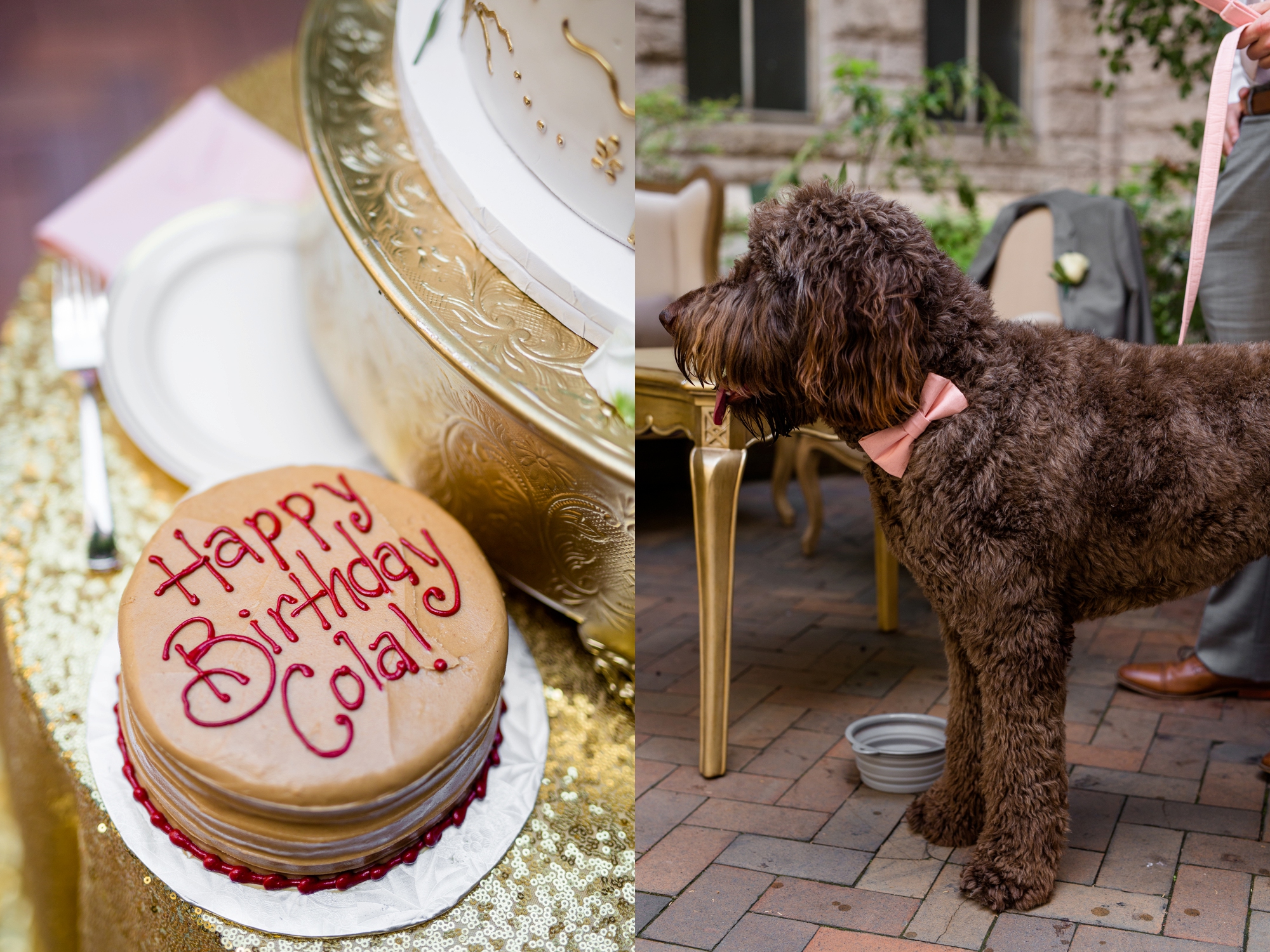 pittsburgh wedding photographer, allegheny courthouse wedding, allegheny courthouse wedding photographer, renaissance pittsburgh hotel wedding, cranberry township wedding photographer