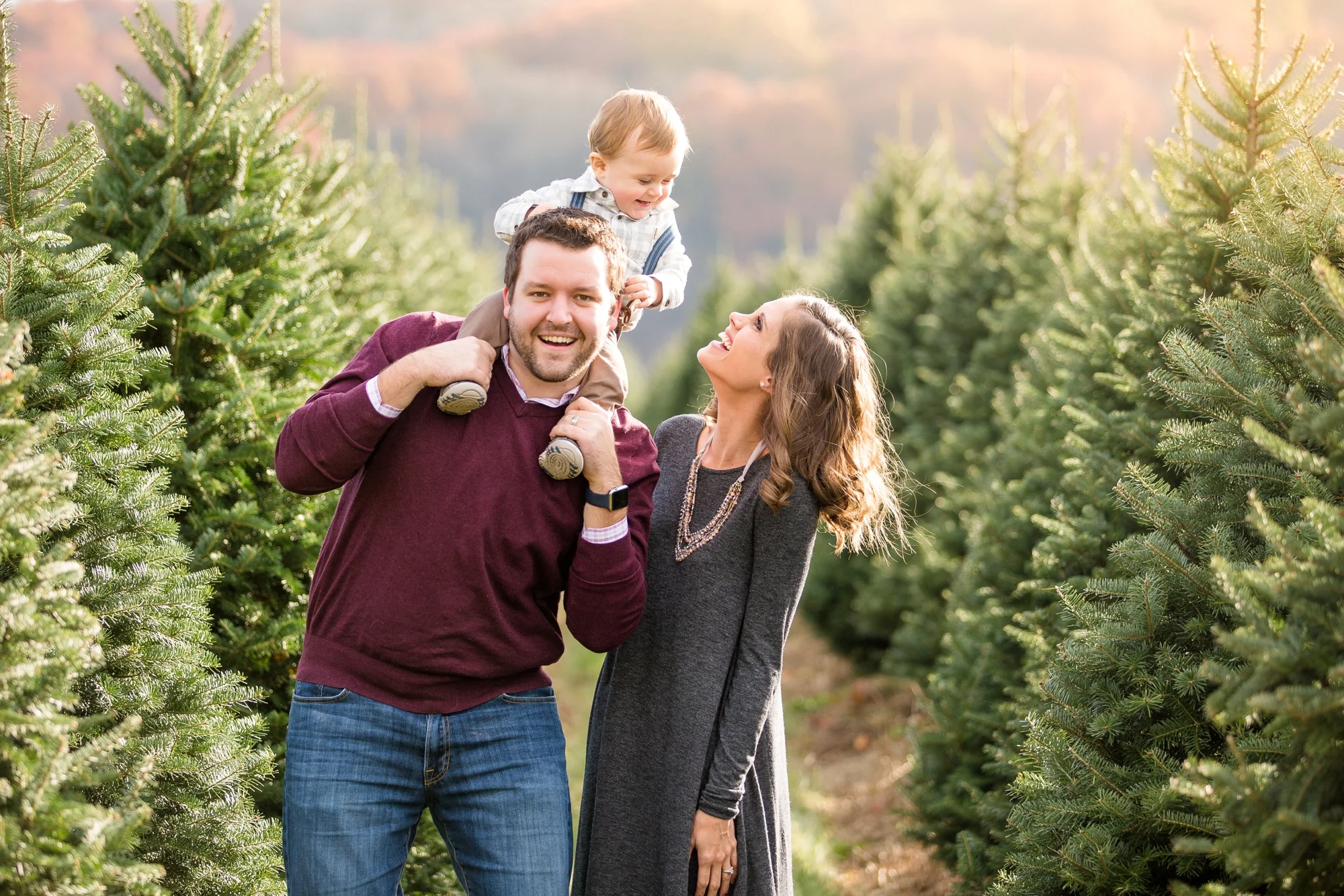 Jones Family Christmas Tree Farm Family Photos — Jenna Hidinger