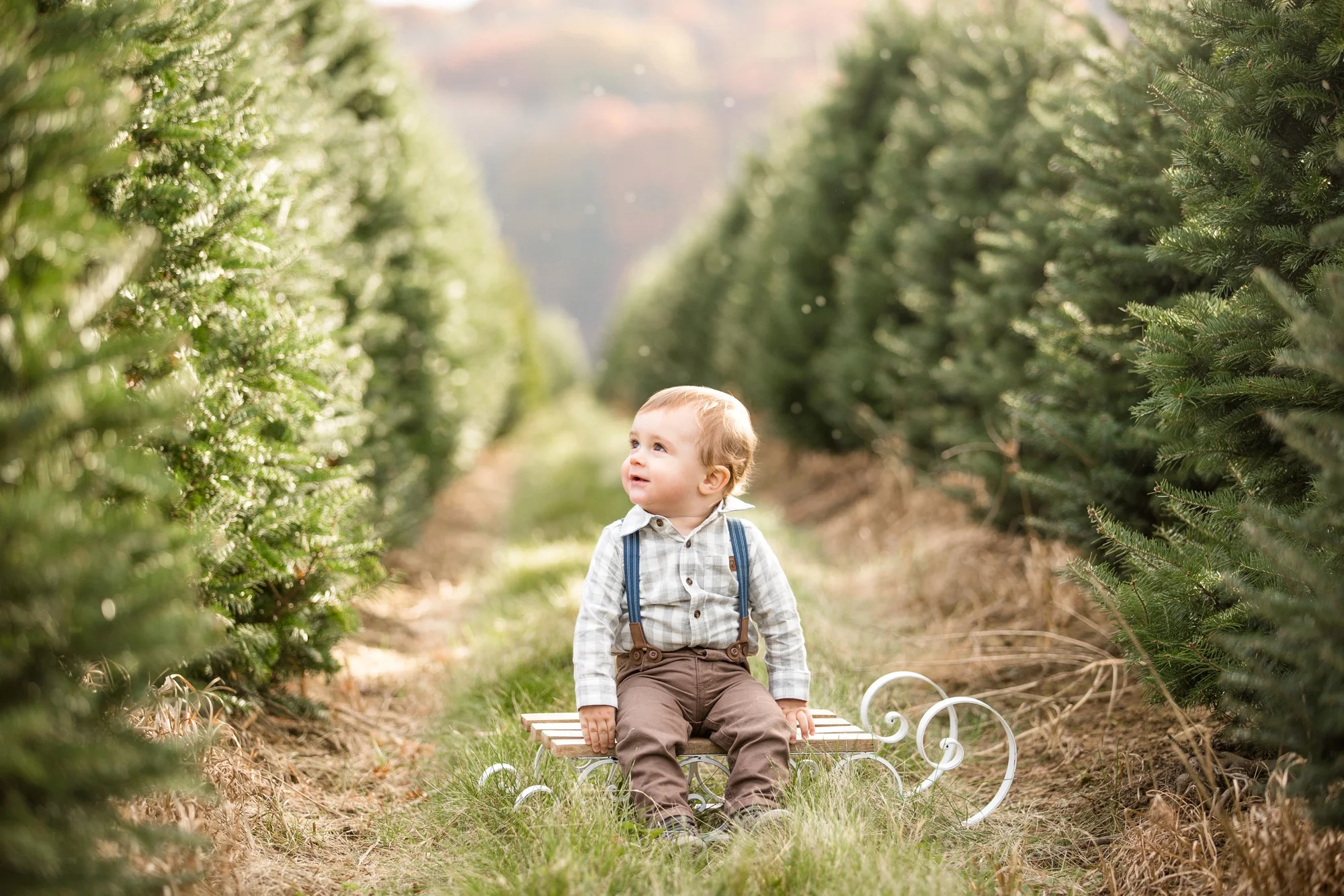 Jones Family Christmas Tree Farm Family Photos Jenna Hidinger Photography