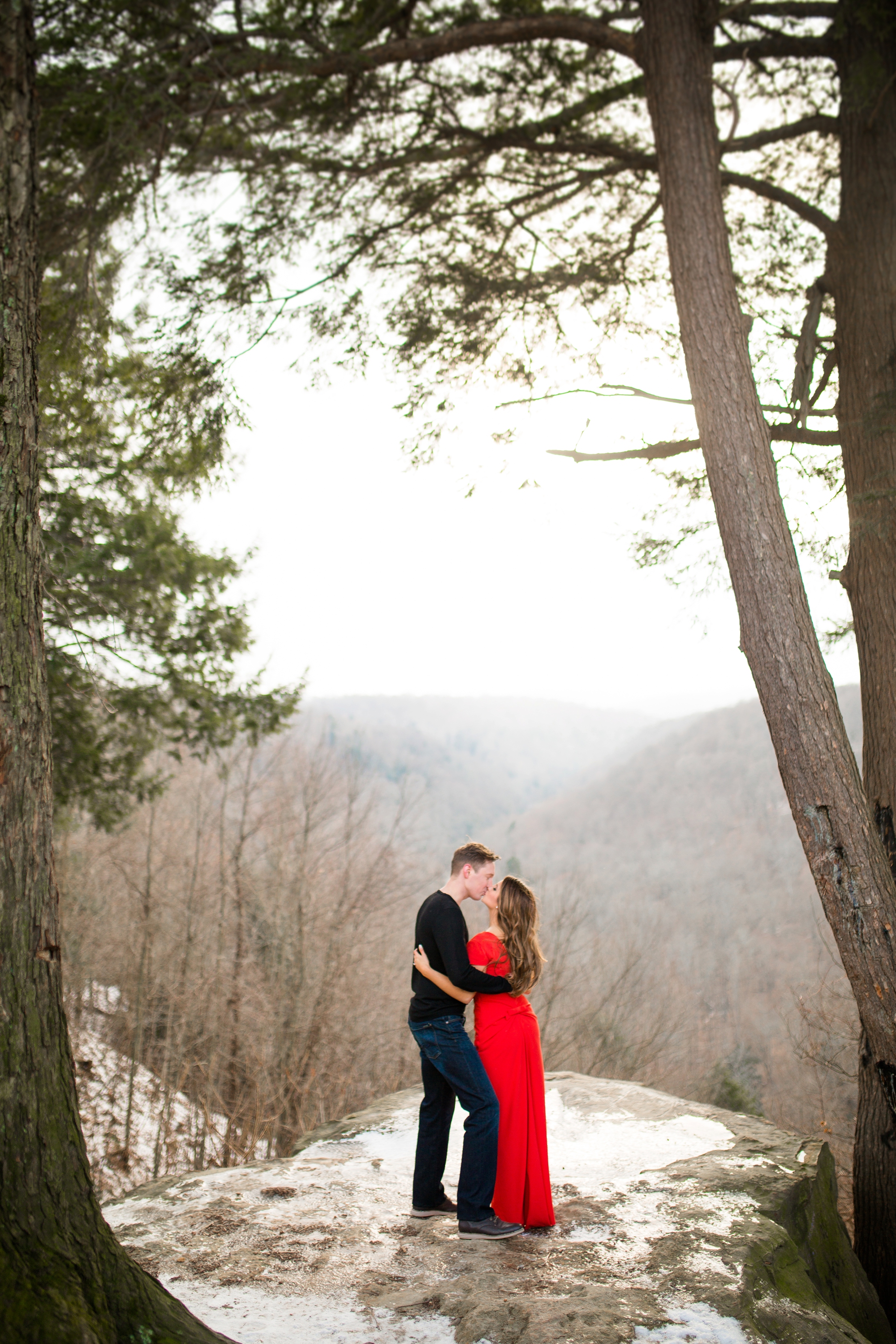 engagement pictures pittsburgh, pittsburgh wedding photographers, mellon park engagement photos, hartwood acres engagement photos, places for photo shoot pittsburgh