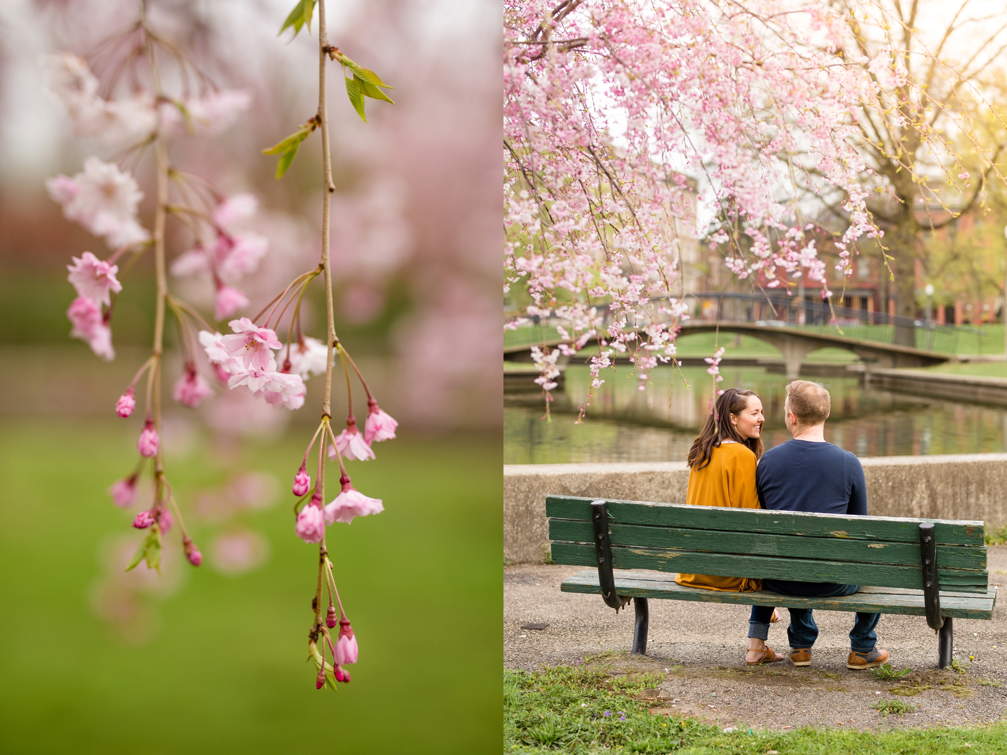 allegheny commons park engagement photos, north shore engagement photos, north side engagement photos, mexican war streets, spring pittsburgh engagement, pittsburgh wedding photos