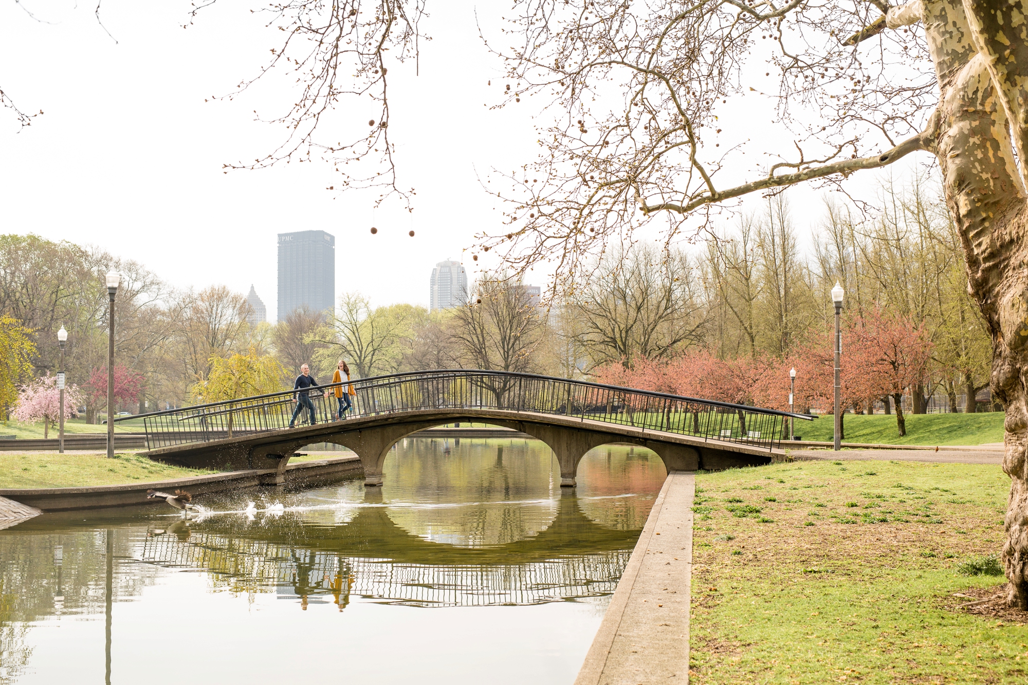 allegheny commons park engagement photos, north shore engagement photos, north side engagement photos, mexican war streets, spring pittsburgh engagement, pittsburgh wedding photos