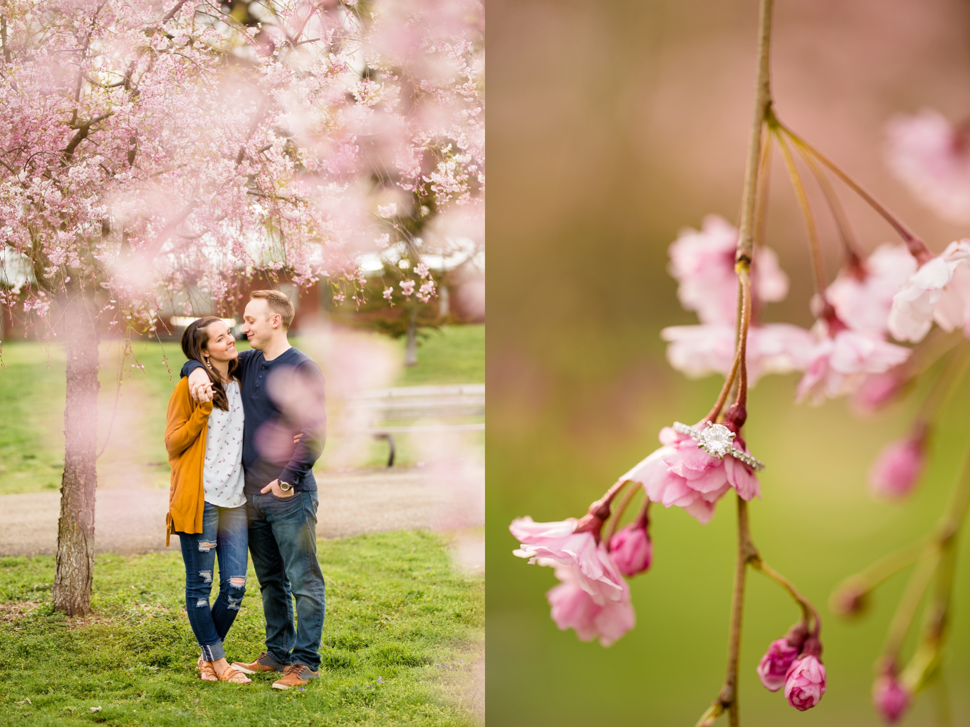 allegheny commons park engagement photos, north shore engagement photos, north side engagement photos, mexican war streets, spring pittsburgh engagement, pittsburgh wedding photos