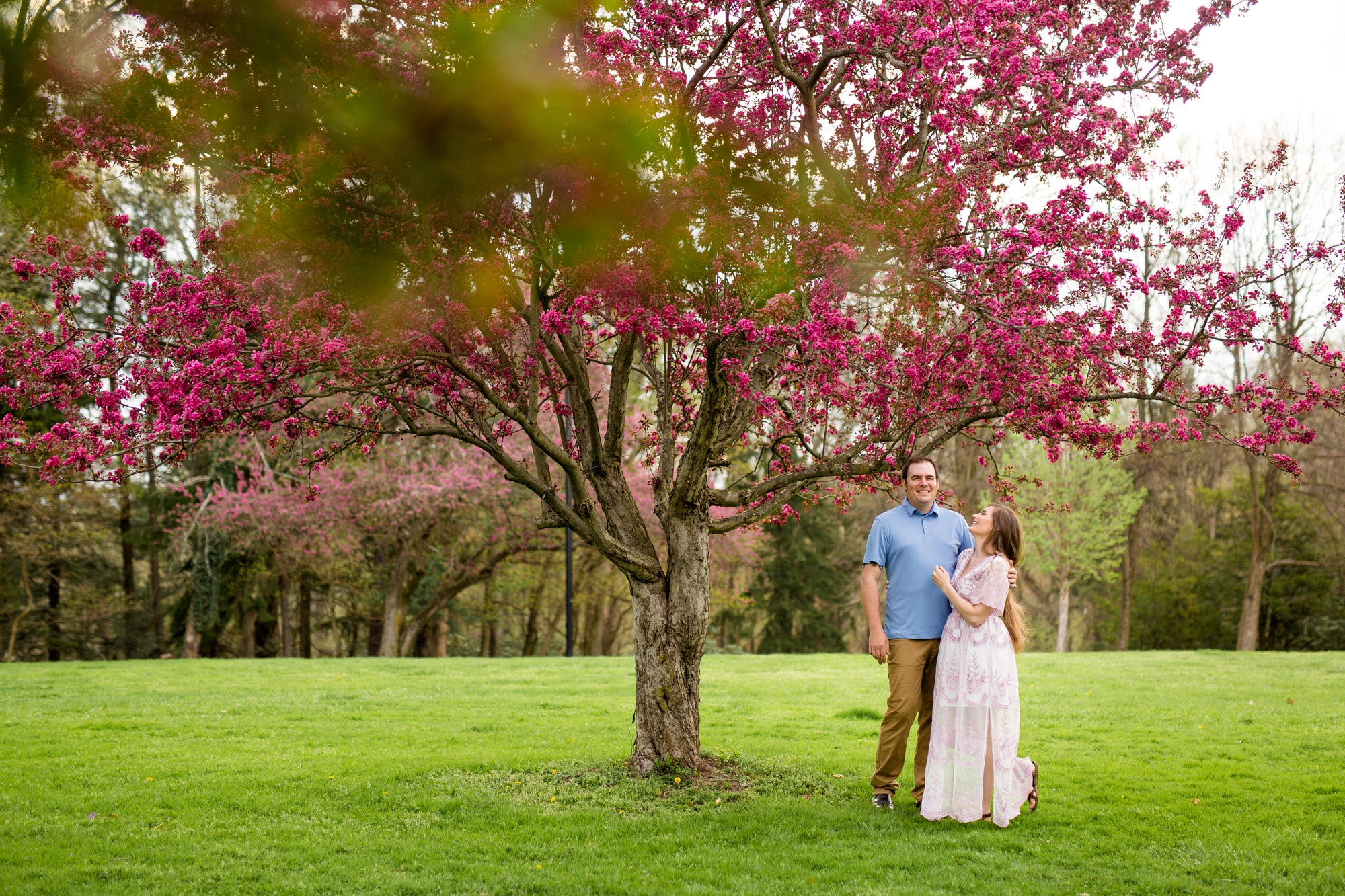 hartwood acres engagement photos, hartwood acres wedding photos, hartwood acres senior photos, hartwood acres family photos, best places to take senior pictures in pittsburgh