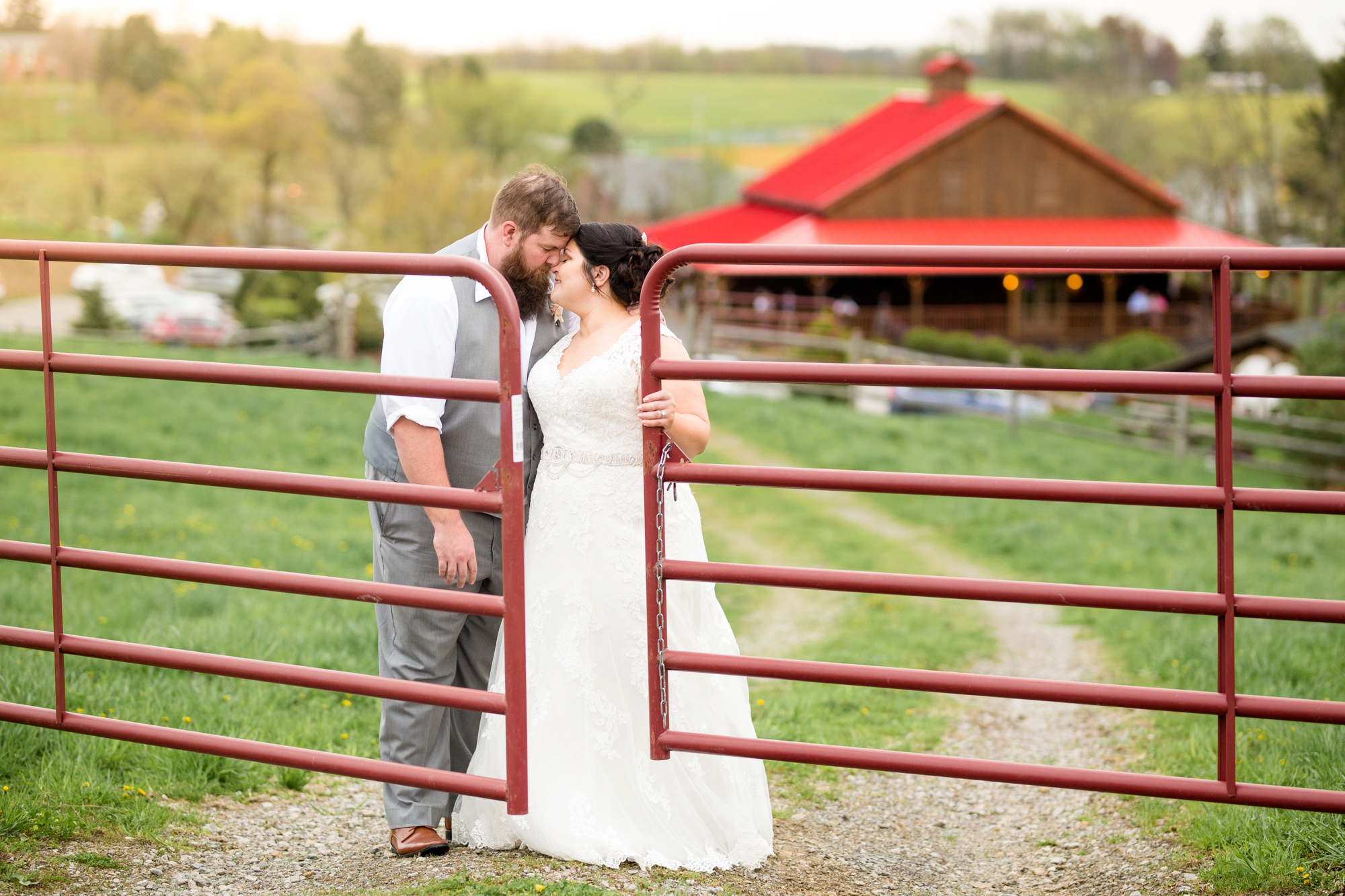 armstrong farms wedding pictures, armstrong farms bed and breakfast, armstrong farms wedding photographer, saxonburg wedding photographer, pittsburgh wedding photographer, pittsburgh wedding venues