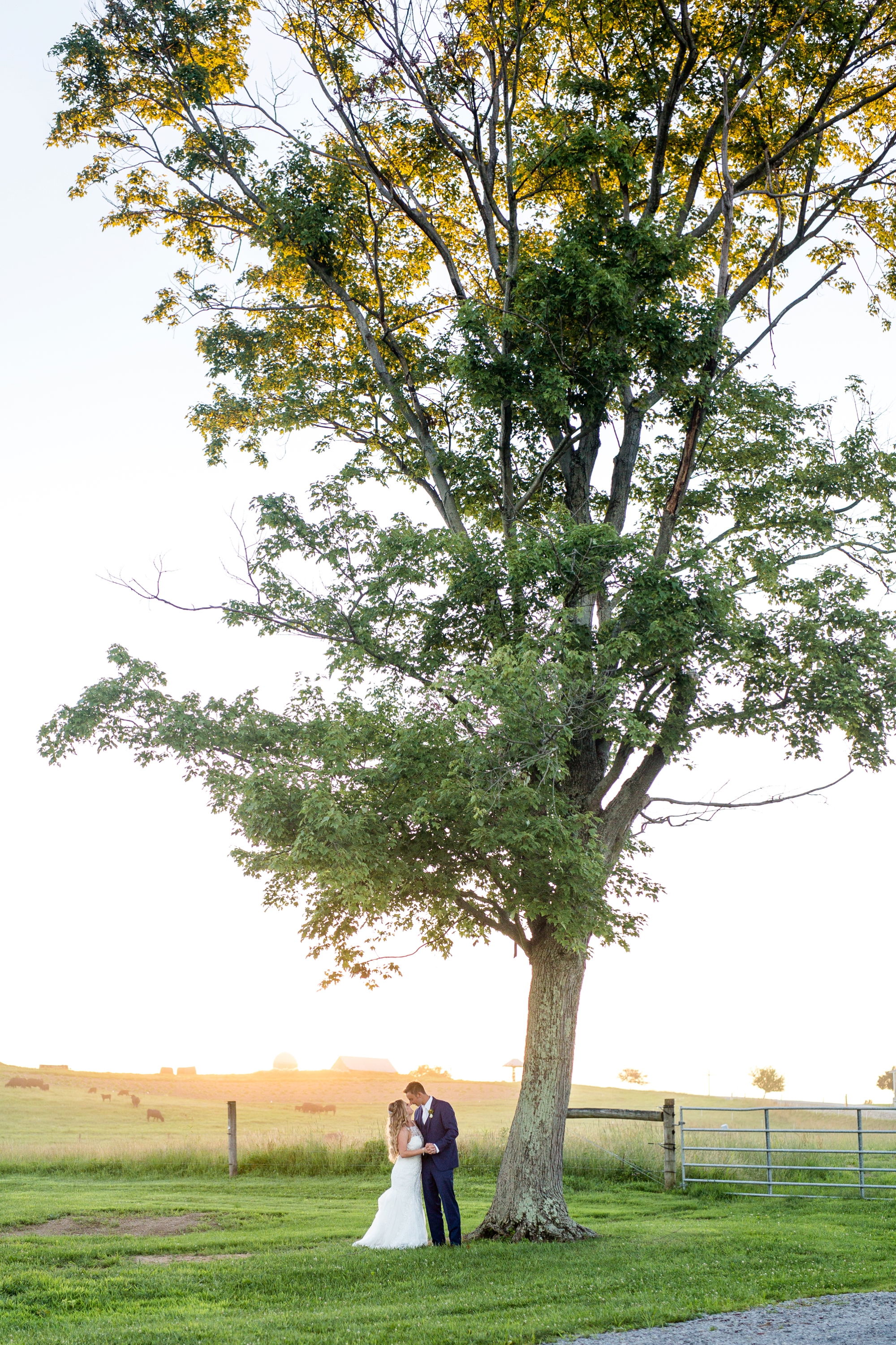 renshaw family farms wedding photos, renshaw family farms freeport pa, pittsburgh wedding photographer, pittsburgh wedding venues, bride and groom posing ideas, wedding photo ideas