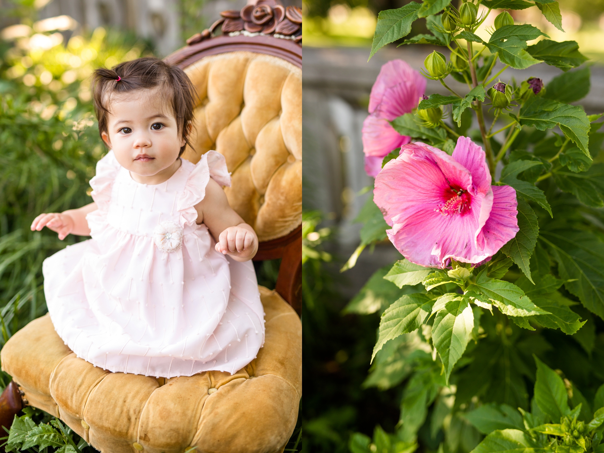 mellon park pictures, pittsburgh family photographer, mellon park family photos, locations for photo shoot pittsburgh, cranberry township family photographer