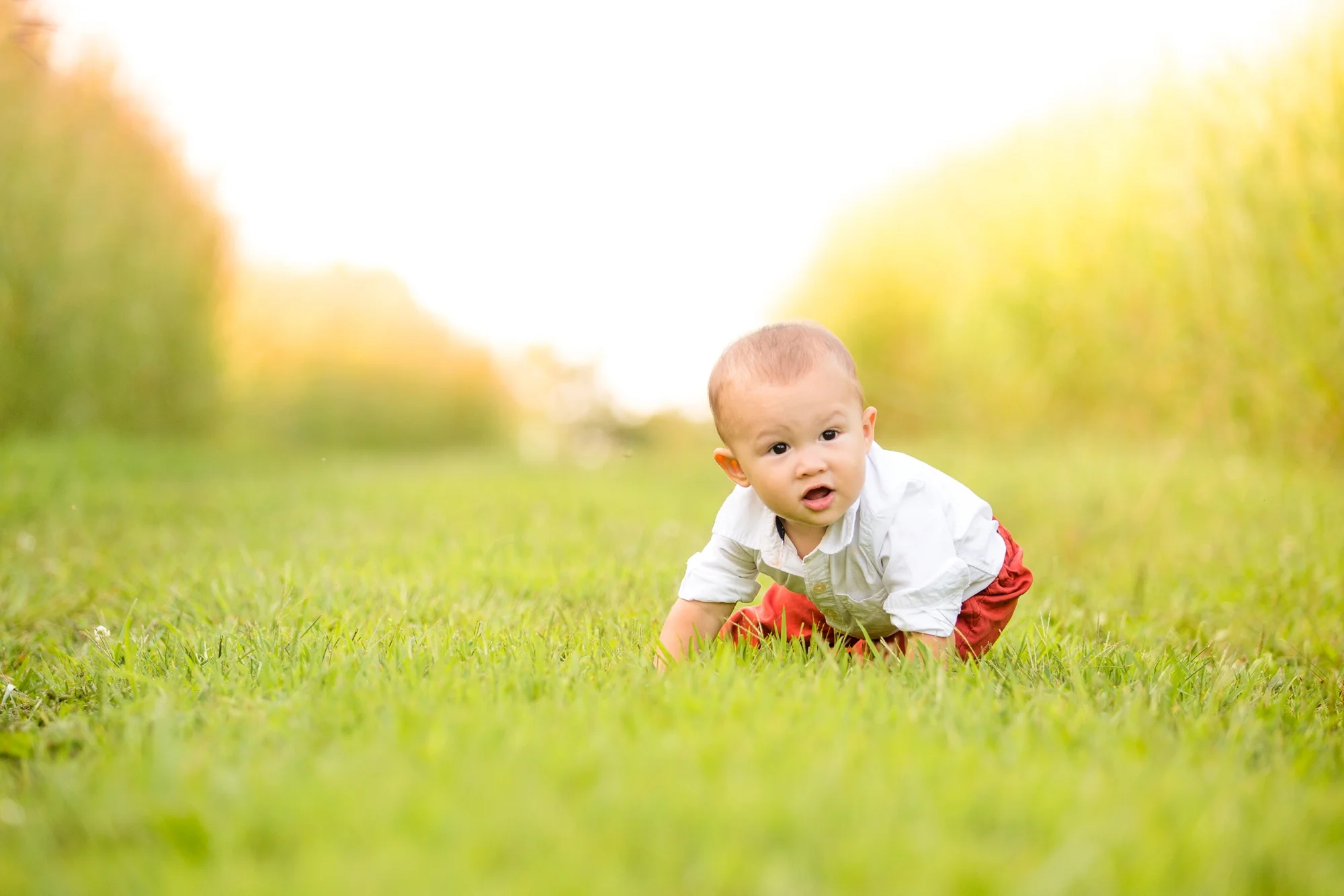 best places to take pictures in pittsburgh, cool places to take pictures in pittsburgh, mcconnells mill state park, pittsburgh family photographer, cranberry township family photographer