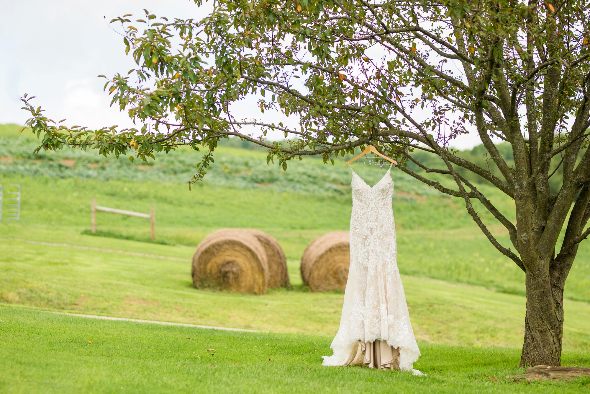 renshaw family farms wedding photos, renshaw family farms freeport pa, pittsburgh wedding photographer, pittsburgh wedding venues, bride and groom posing ideas, wedding photo ideas