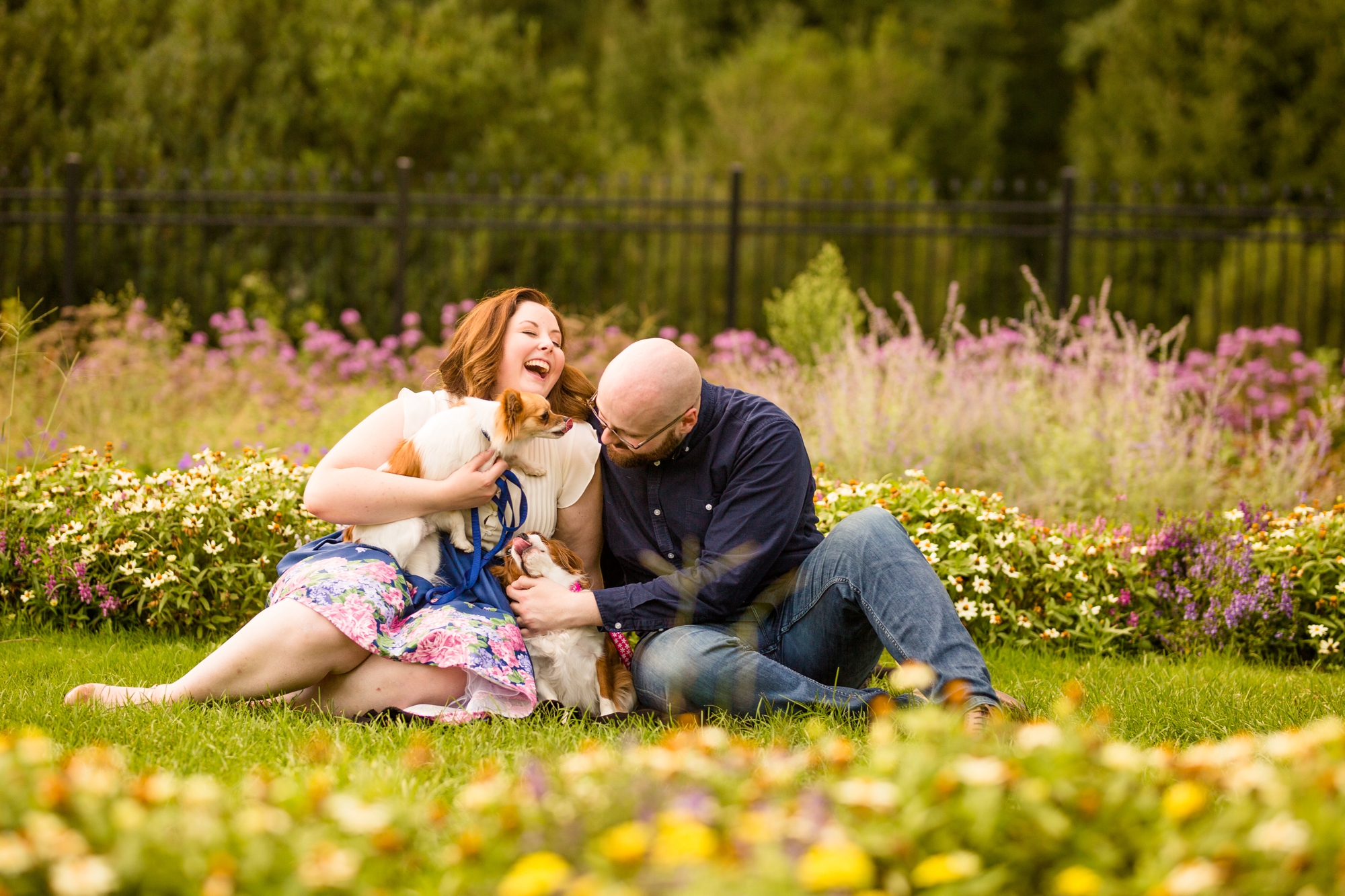 pittsburgh wedding photographer, pittsburgh engagement photos, best spot in pittsburgh for photo shoot, hartwood acres engagement pictures