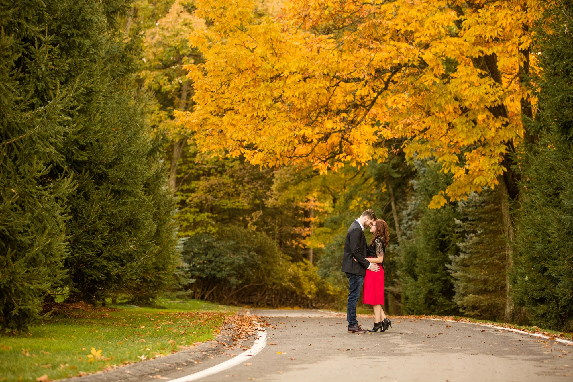 pittsburgh wedding photographer, pittsburgh engagement photos, best spot in pittsburgh for photo shoot, hartwood acres engagement pictures