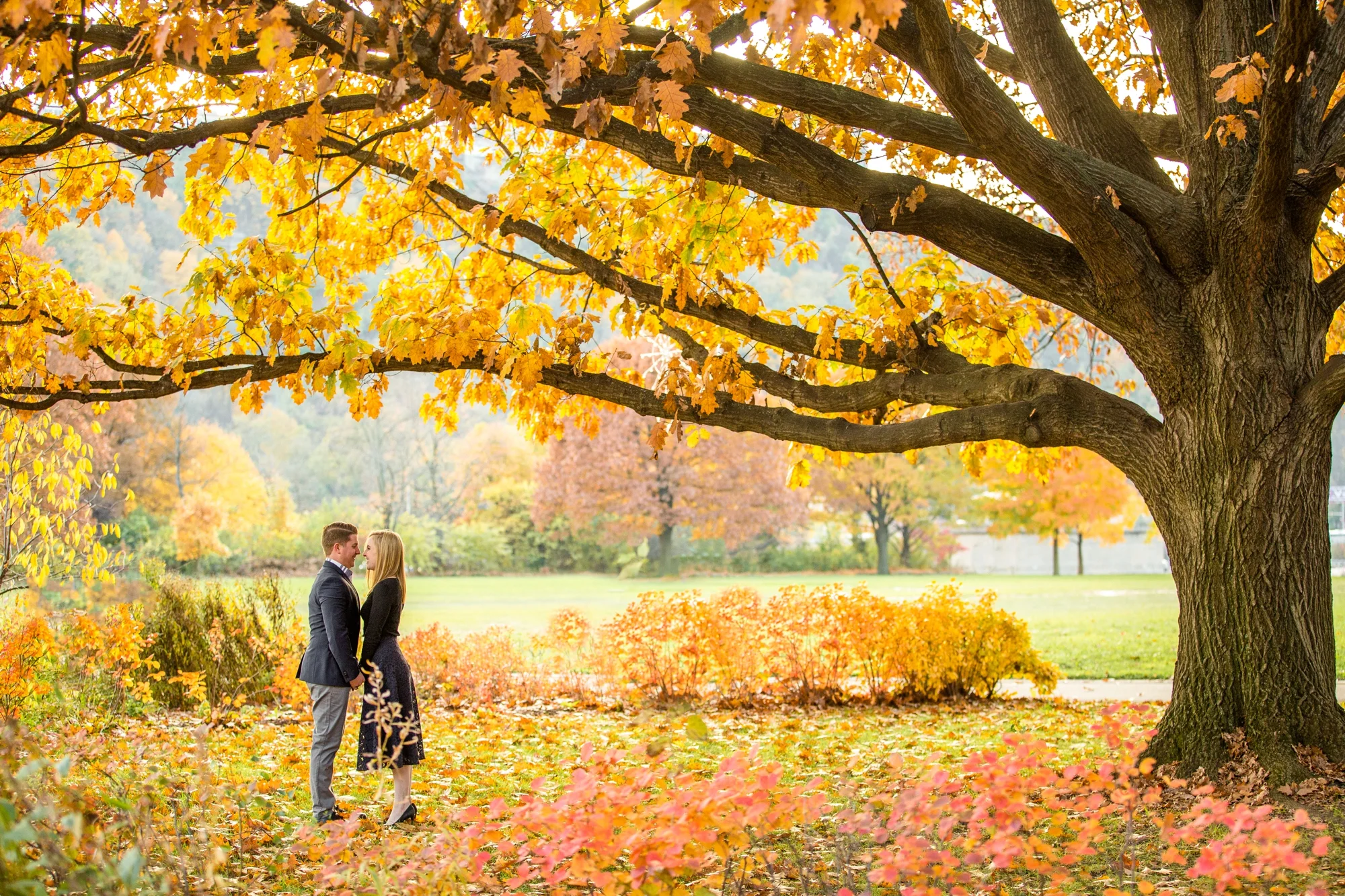 pittsburgh wedding photographer, pittsburgh engagement photos, best spot in pittsburgh for photo shoot, highland park engagement pictures, point state park engagement photos