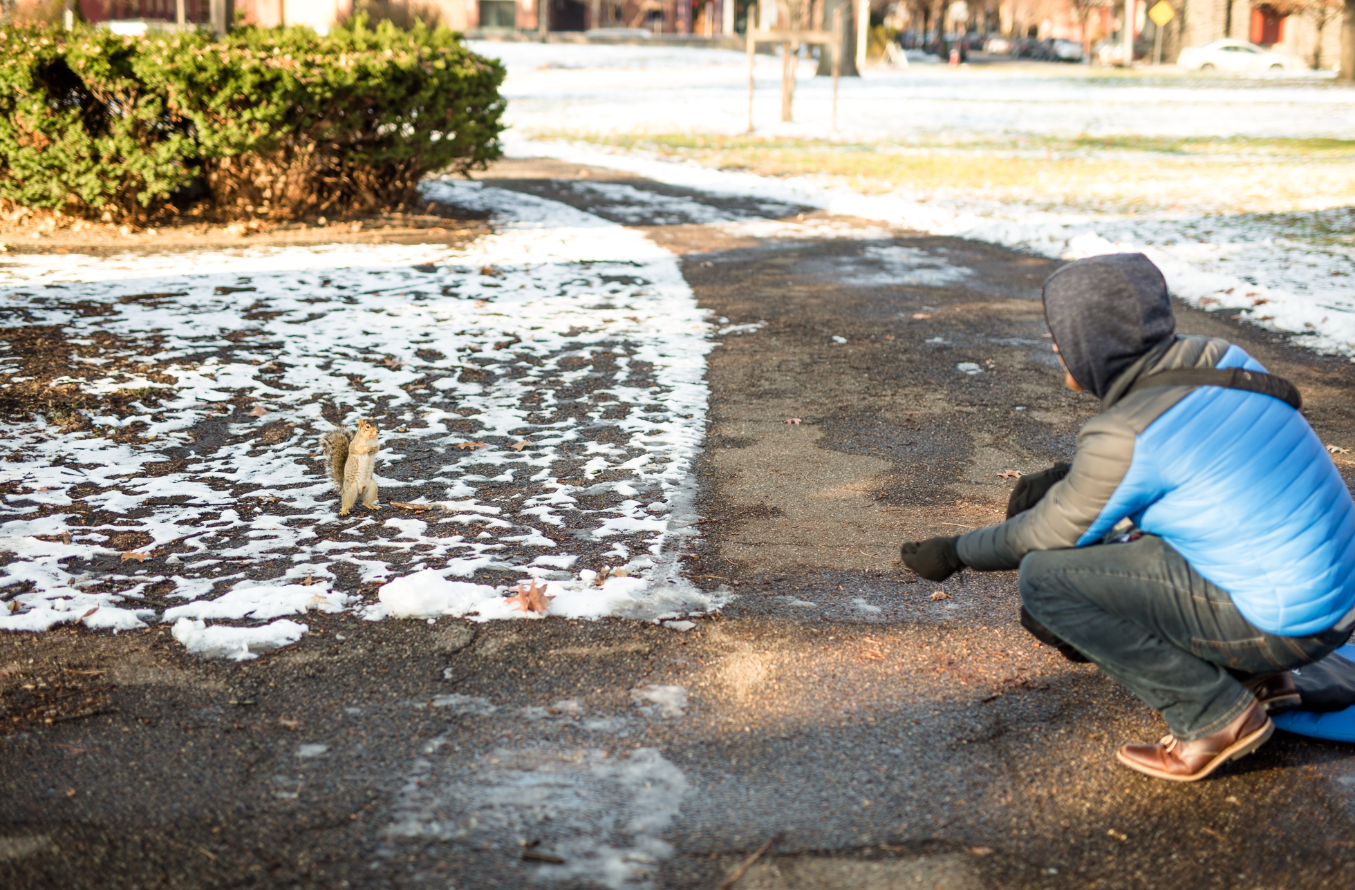 Squirrel whisperer